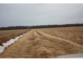 Property photo 8 - MAJOR LAND AUCTION - 541+/- Acres offered in 5 Tracts